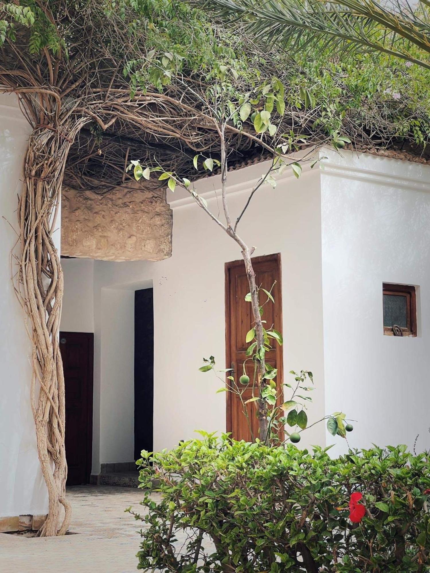 Chateau D'Orient Essaouira Luaran gambar